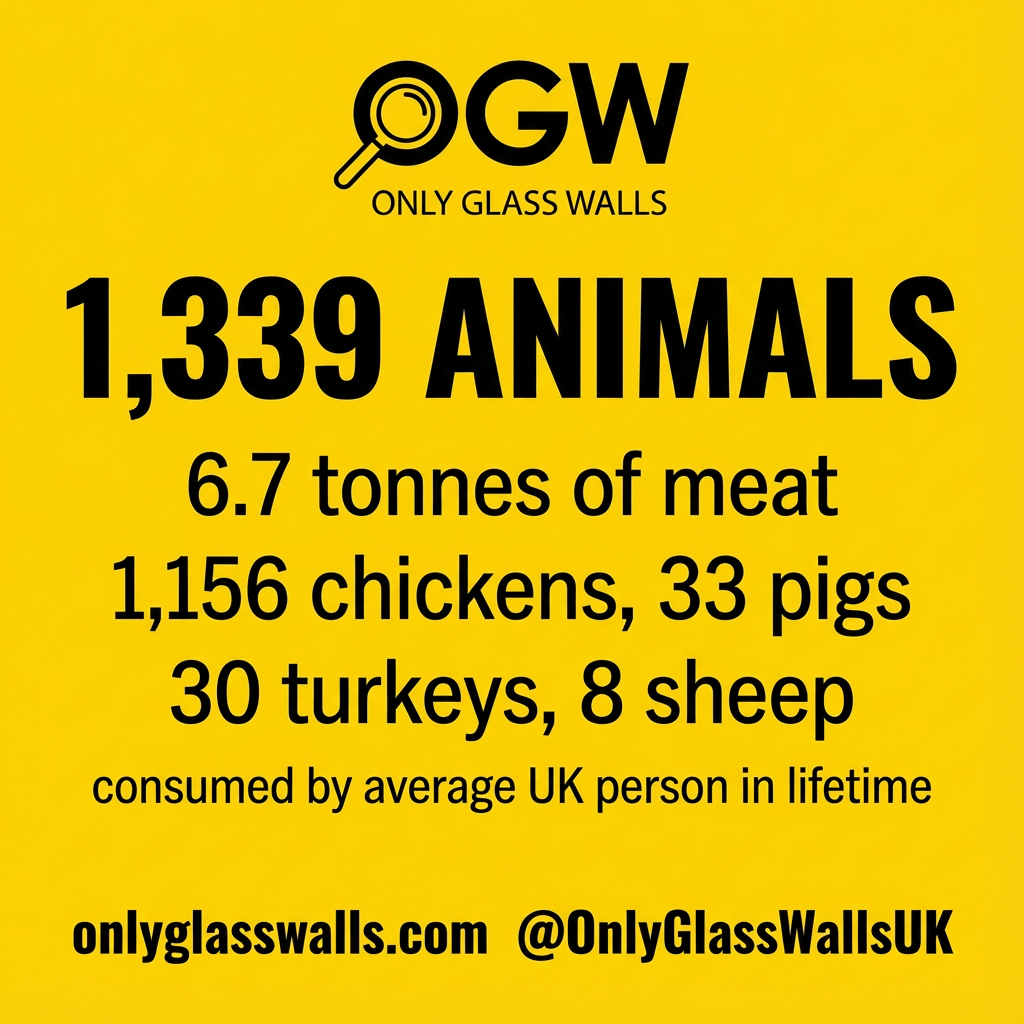 Lifetime Consumption