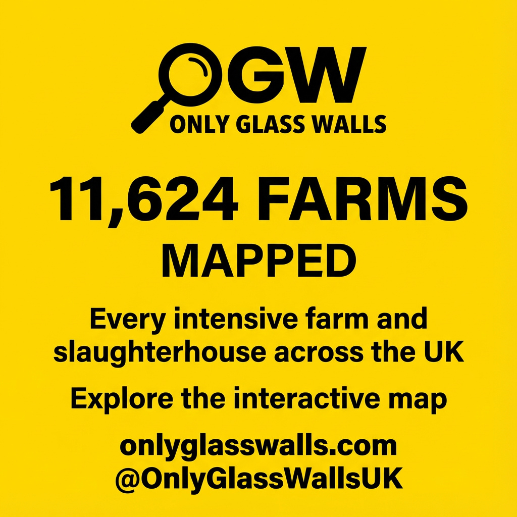 Interactive Map Promotion